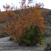 JDEORTA > 12/8/07 photo